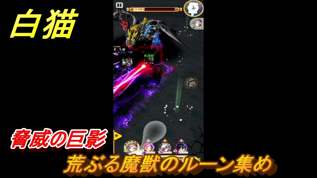 白猫 荒ぶる魔獣のルーン集め 脅威の巨影 協力バトル 白猫プロジェクト ニコニコ動画