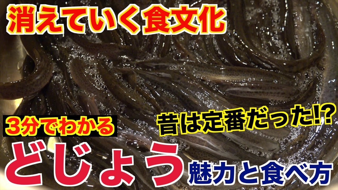 消えていく食文化 どじょうの魅力と食べ方 ニコニコ動画