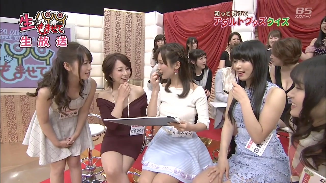 大人のおもちゃ クイズ ニコニコ動画