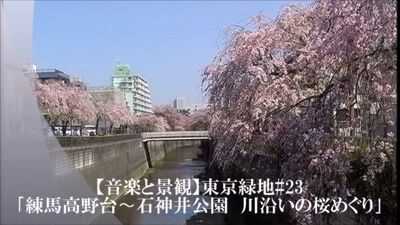 音楽と景観 東京緑地 23 練馬高野台 石神井公園 川沿いの桜めぐり ニコニコ動画