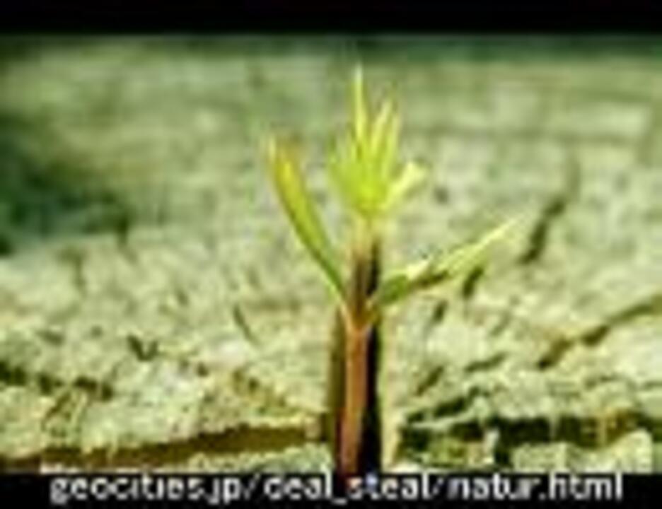 清洲城信長 鬼ころし Cmソング Full ニコニコ動画