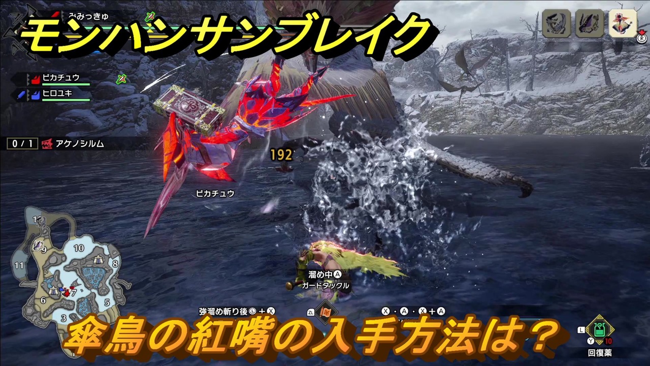 モンハンサンブレイク 傘鳥の紅嘴の入手方法は モンスター素材集め ６８３ ｍｈｒ ニコニコ動画