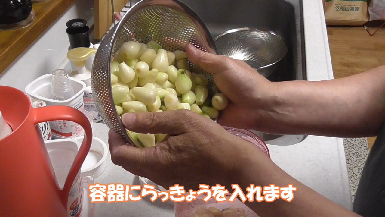 ギフト/プレゼント/ご褒美] 壮健の里柊亭 500g 国産らっきょう 大粒 紅しょうが
