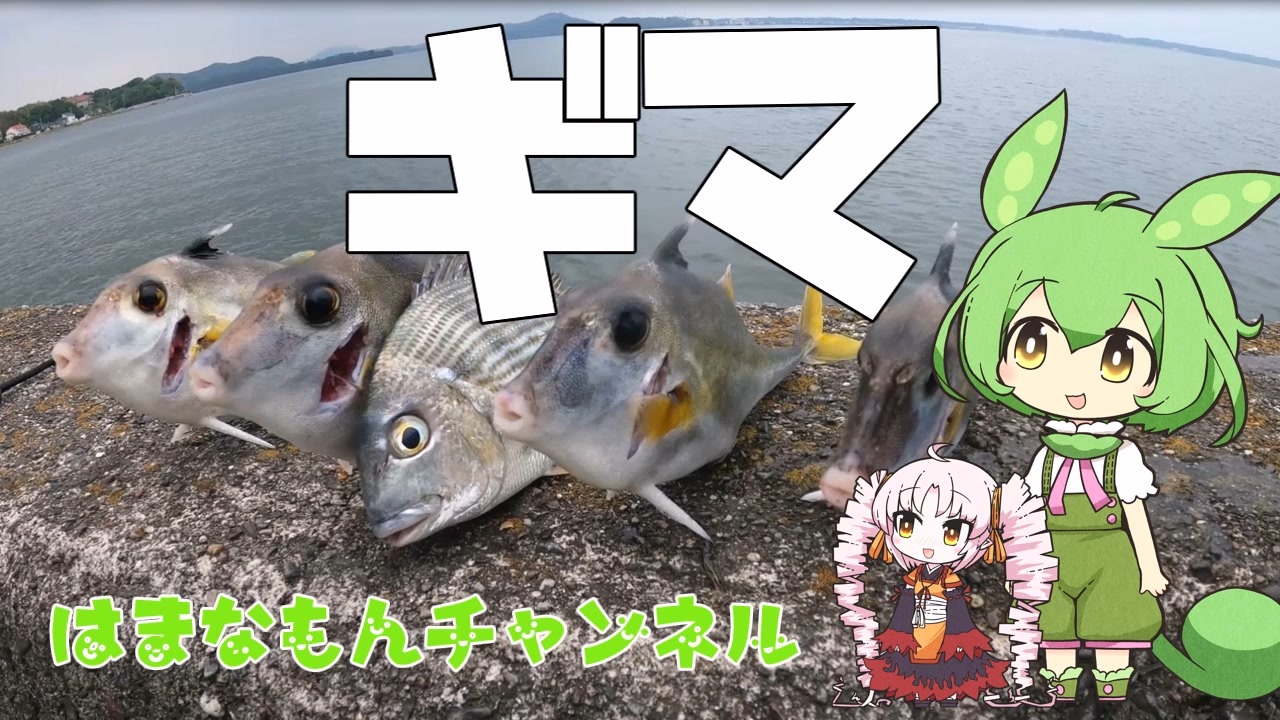 人気の 浜名湖 釣り 動画 4本 ニコニコ動画