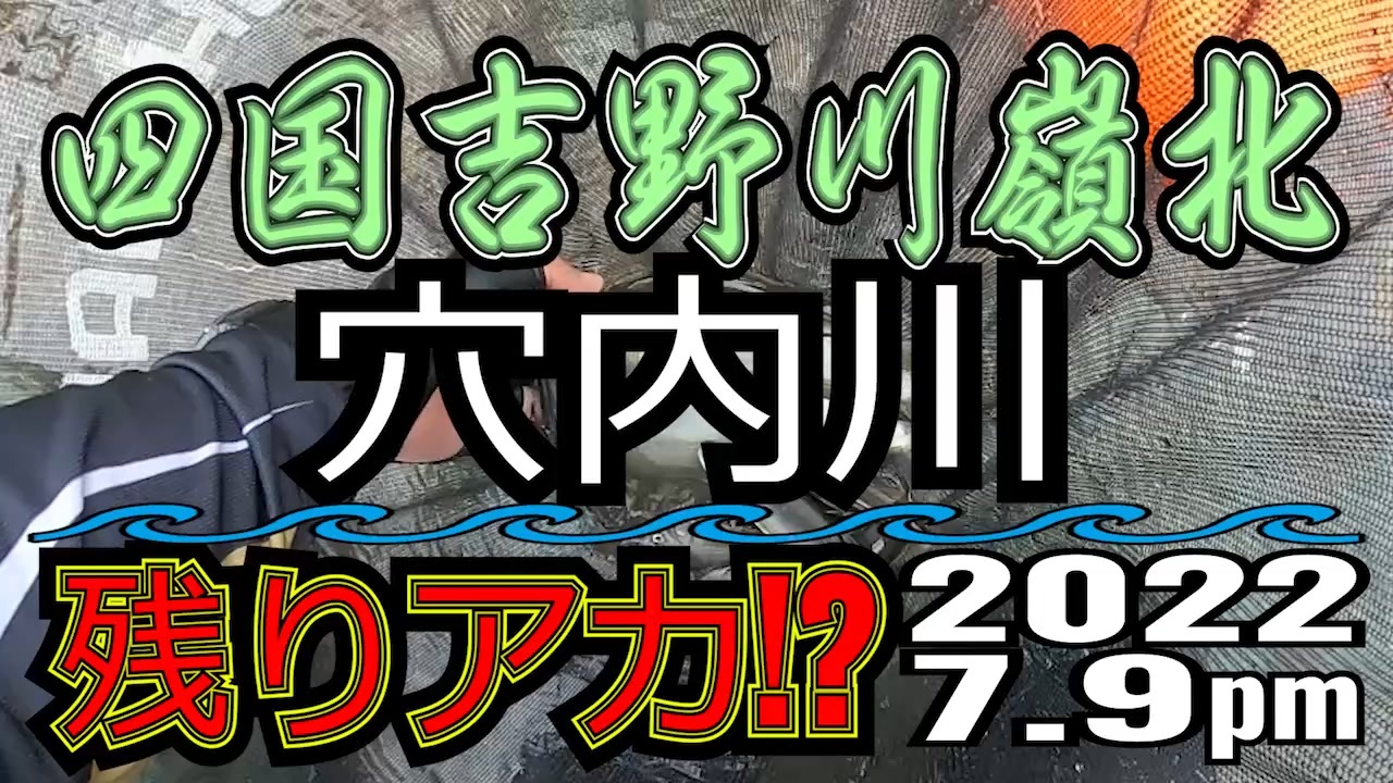 サッとふりかけてポッ 生姜健美で健康的に美しく 高知県産 生生姜100%使用 生姜パウダー 非遺伝子組み換え アレルゲンゼロ 添加物ゼロ 生姜健美  100g ショウガオール 冷え性対策 入手困難