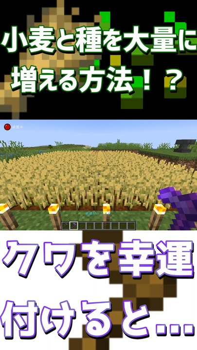 畑に大量の食べ物や作物が欲しい場合はエンチャントを付けると Shorts Minecraft マインクラフト マイクラ ニコニコ動画