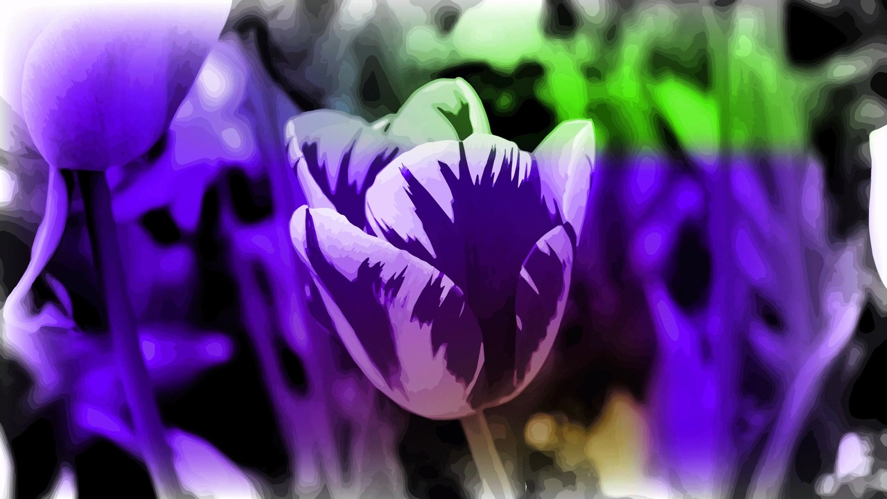 人気商品は フィギュア 1 6 森田柚花 蝶や花や コミック アニメ Plumber In Midrand Co Za