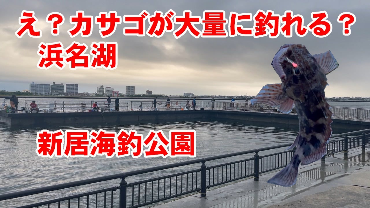 え カサゴが釣れるの 浜名湖 新居海釣公園ではカサゴがたくさん釣れます ニコニコ動画