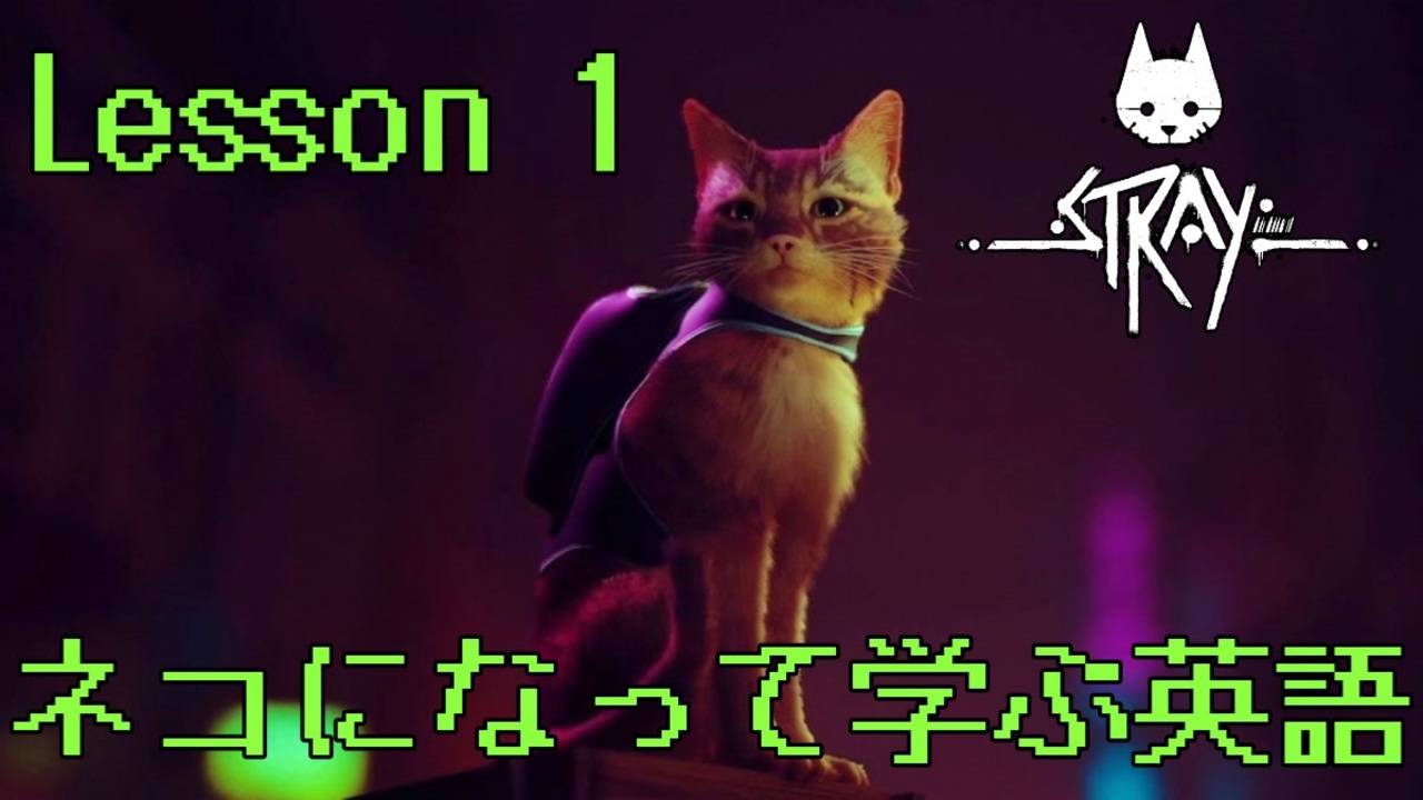 実況 ネコになって学ぶ英語 Lesson 1 Stray ニコニコ動画