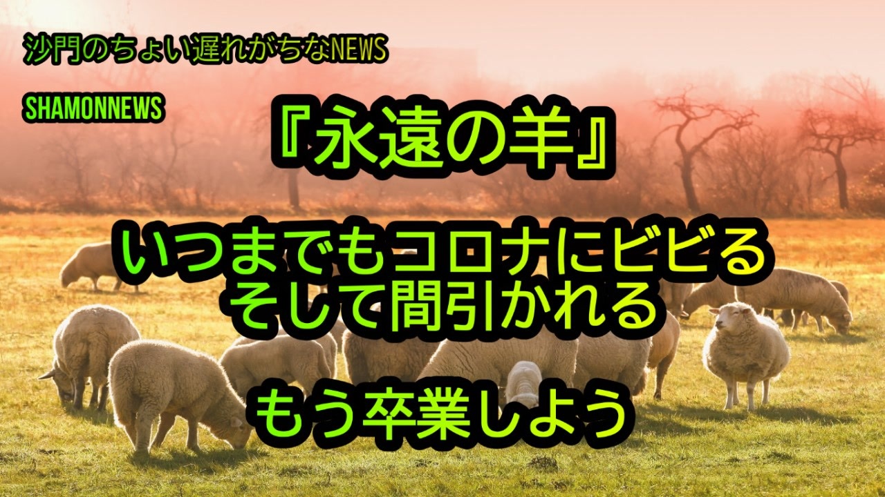 『永遠の羊』いつまでもコロナにビビる。そして間引かれる(沙門のちょい遅れがちなNEWS)