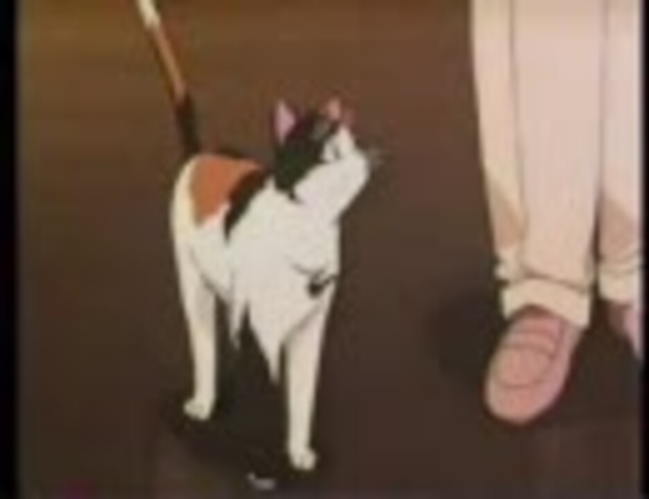 三毛猫ホームズの幽霊城主 2 3 ニコニコ動画