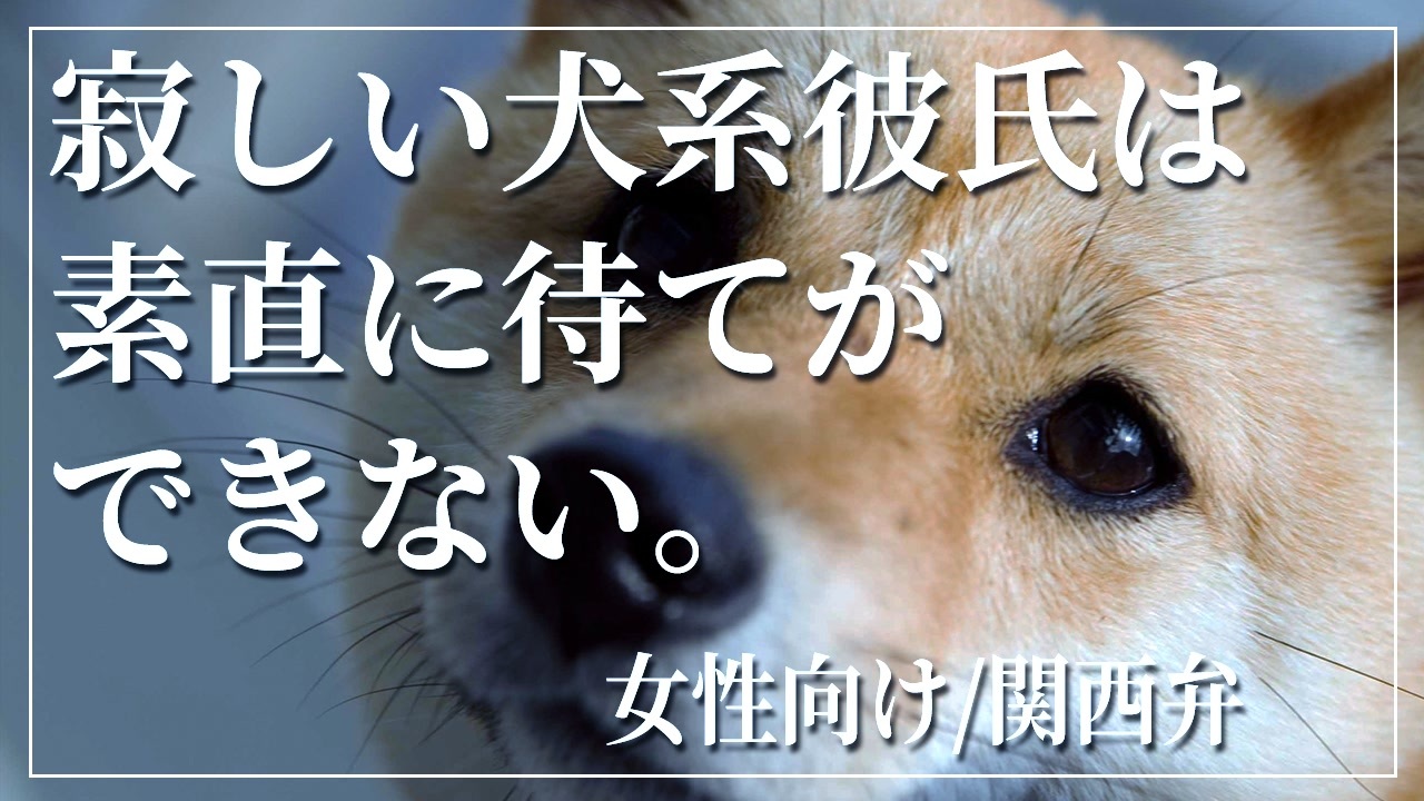 女性向けボイス 寂しい犬系彼氏は静かに 待て ができない Asmr 関西弁 ニコニコ動画