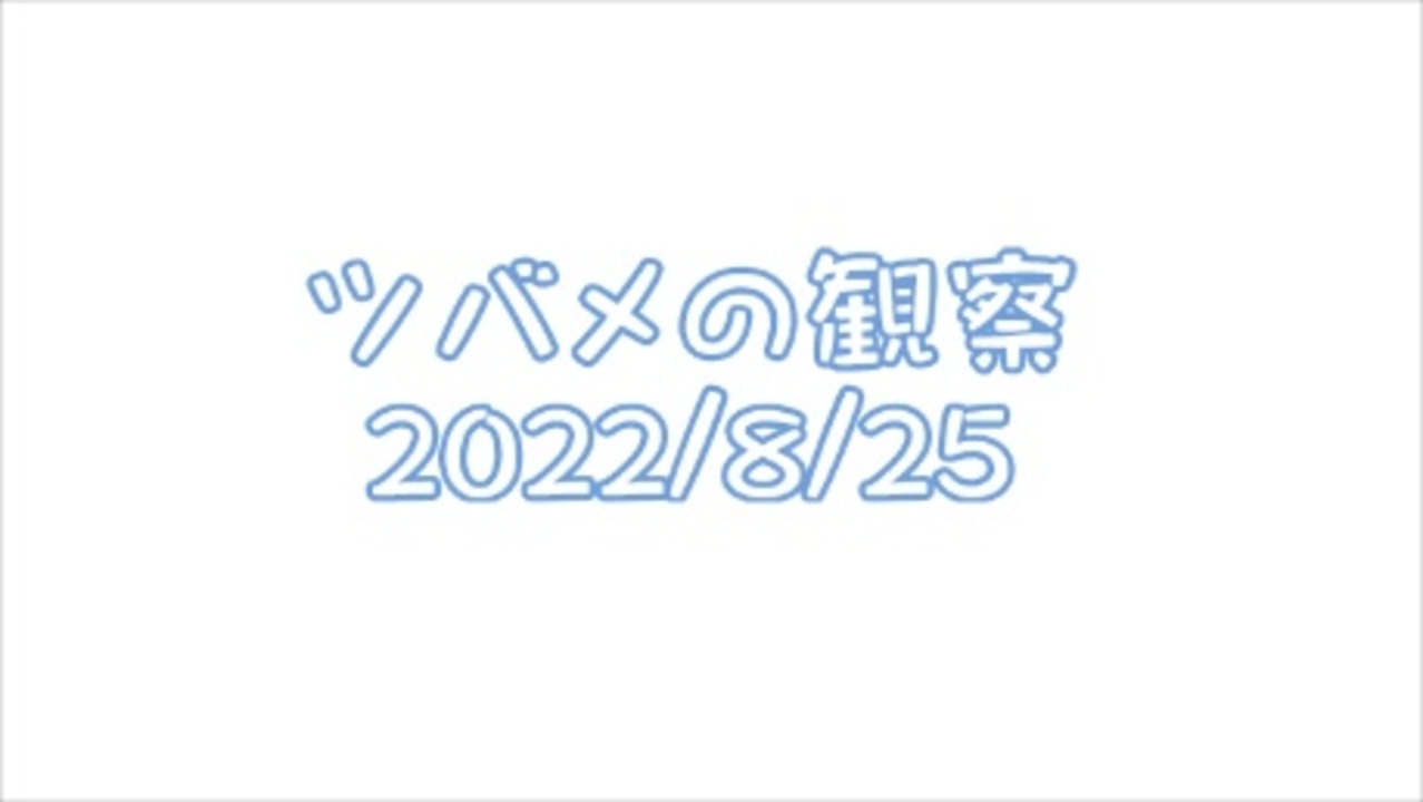 人気の 巣立ちの歌 動画 41本 ニコニコ動画