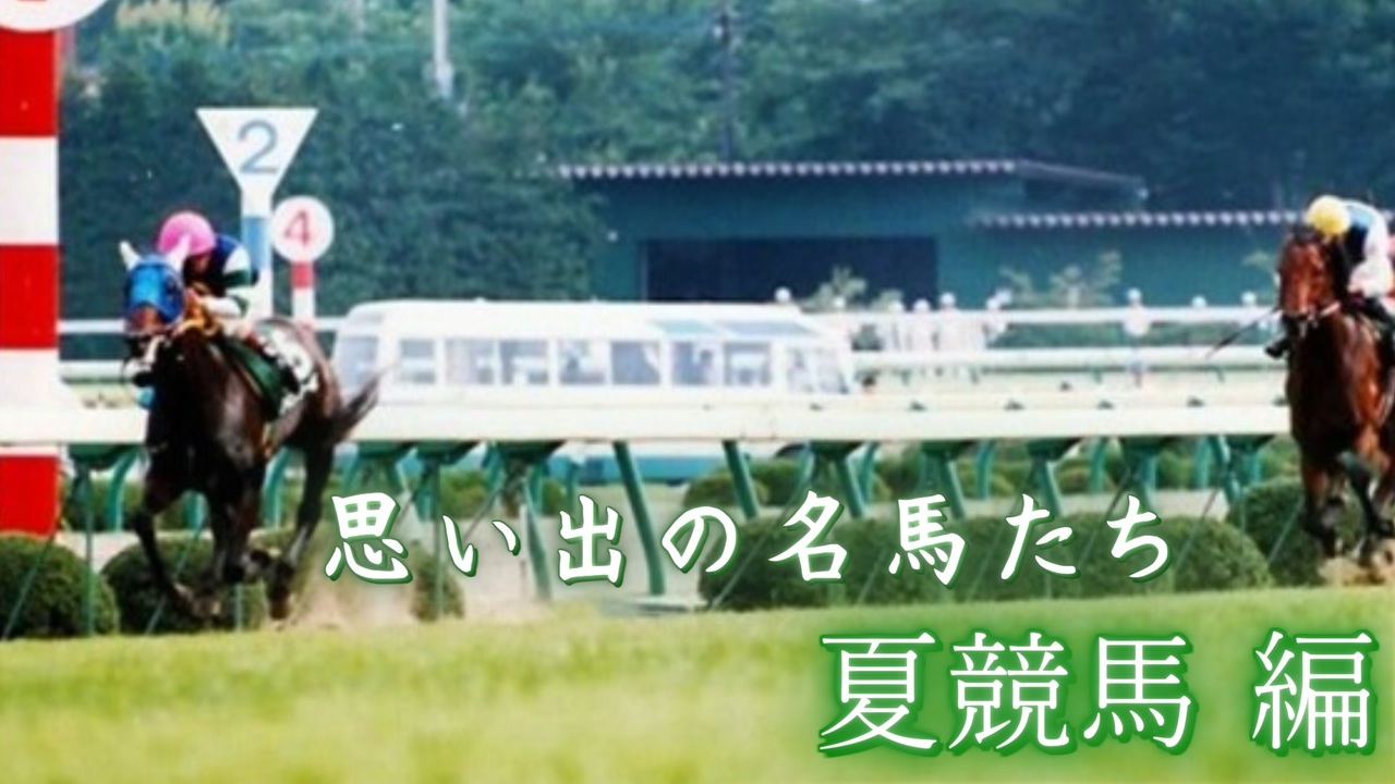 動画ランキング 競馬 スポーツ ニコニコ動画