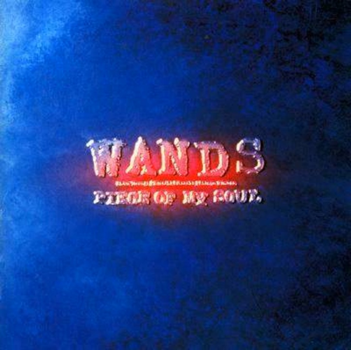 Amazon.co.jp: WANDS ワンズ B2 告知 ポスター Secret Night