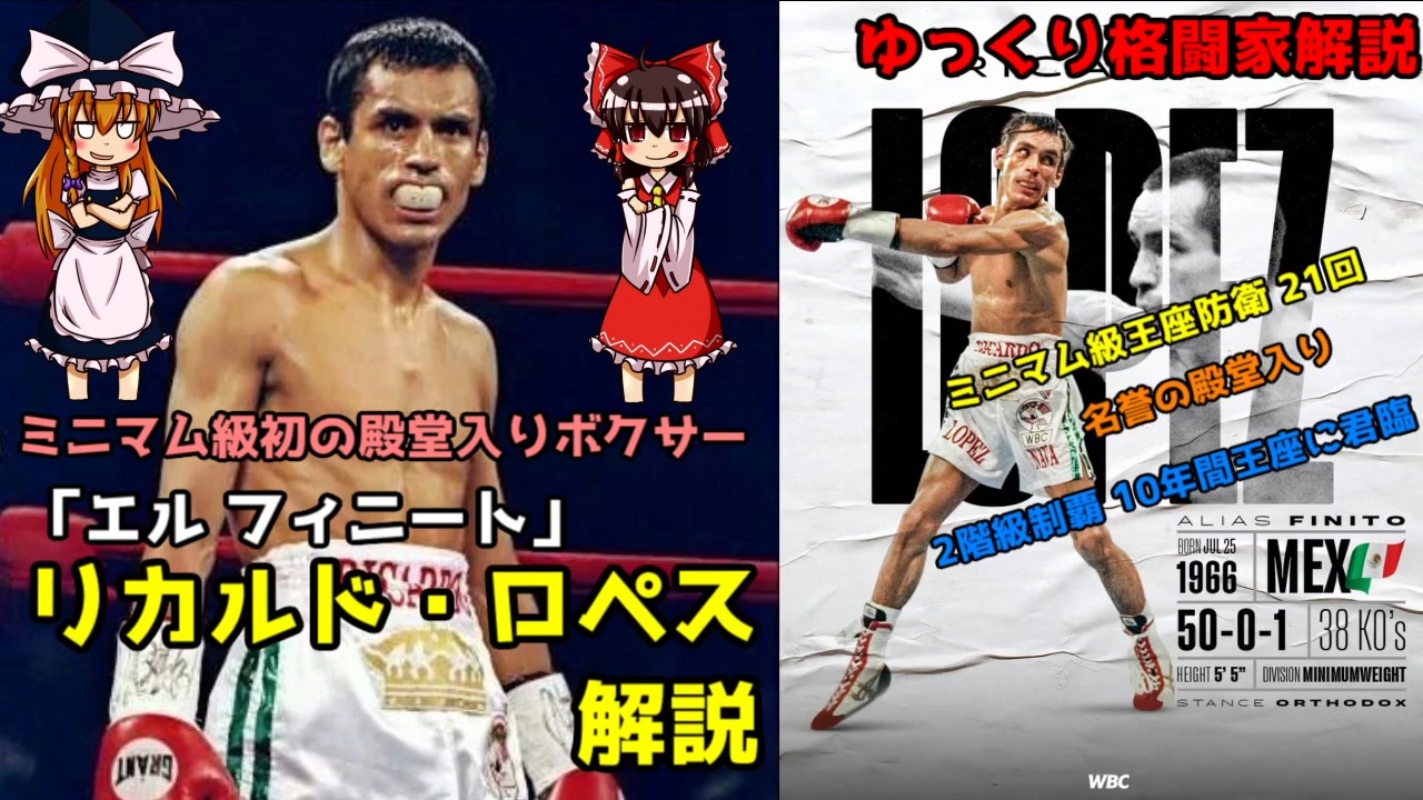 楽な 気づくなる エンジニア ボクシング 内藤 解説 Tiffany H Jp