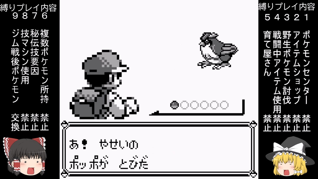ゆっくり 解説 ポケモン やり込み縛りプレイ 君に決めた Part10 ニコニコ動画