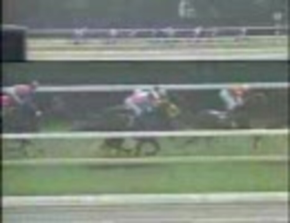 年間定番 2005年 天皇賞 春 ヒシミラクル 単勝馬券 現地馬券 real