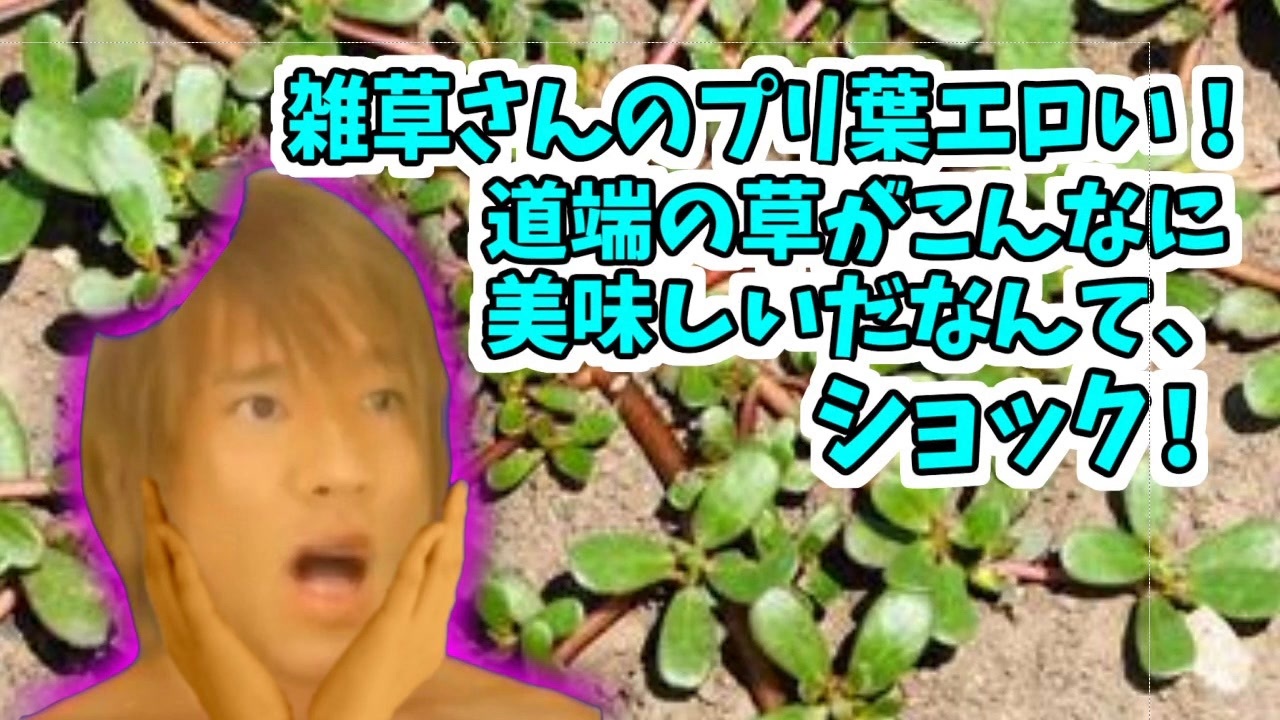 雑草を食ったあと4 投稿者 ネイチャー拓也 ニコニコ動画