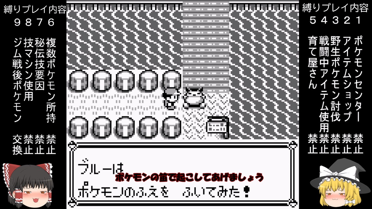 ゆっくり 解説 ポケモン やり込み縛りプレイ 君に決めた Part19 ニコニコ動画