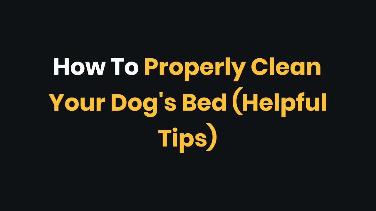 How To Properly Clean Your Dog's Bed (Helpful Tips) ニコニコ動画