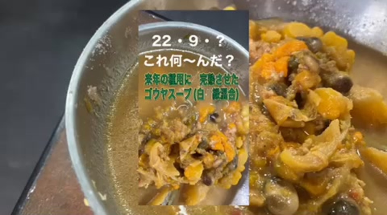 22 9 10 来年用の種用に完熟させたゴーヤで作ったスープ ニコニコ動画
