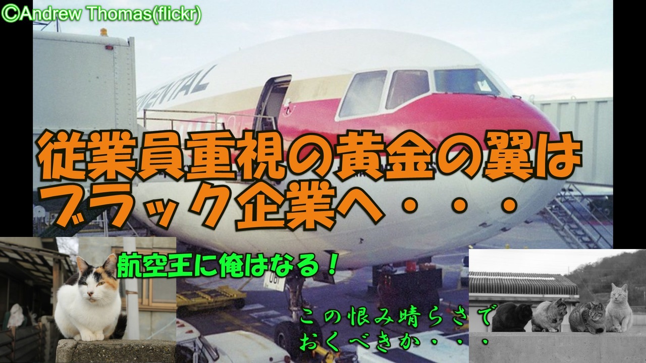 人気の コンチネンタル航空 動画 16本 ニコニコ動画