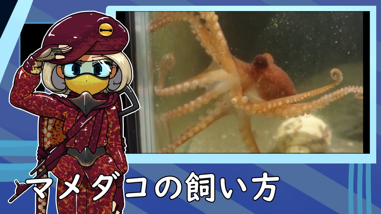 人気の オリキャラでゆっくり解説 動画 1 069本 ニコニコ動画