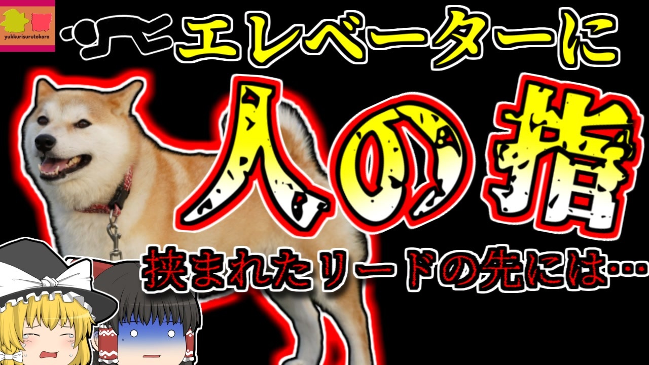 06年東京 エレベーターから飛び出した犬 リードが繋がったままドアが閉まり上昇し 飼い主の指が千切れる ゆっくり解説 ニコニコ動画