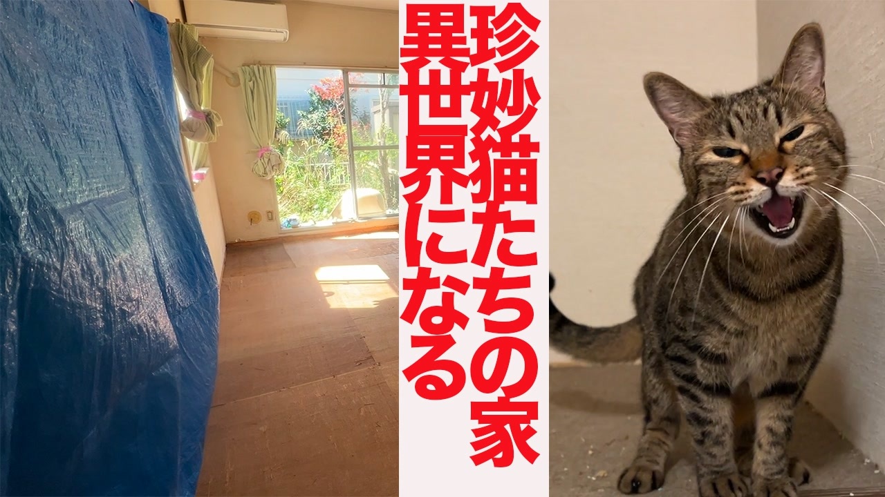 人気の ねこかます もふり手 動画 2 048本 ニコニコ動画