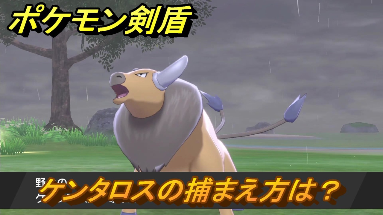 ポケモン剣盾 ケンタロスを捕まえる方法 オススメの場所は 天気は ポケモン図鑑コンプへの道 最新版 ポケモンソード シールド ニコニコ動画