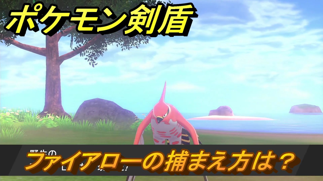 ポケモン剣盾 ファイアローを捕まえる方法 オススメの場所は 天気は ポケモン図鑑コンプへの道 最新版 ポケモンソード シールド ニコニコ動画