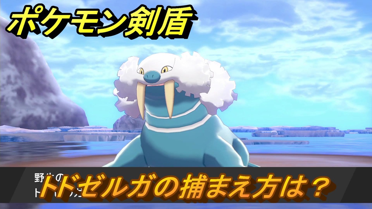 ポケモン剣盾 トドゼルガを捕まえる方法 オススメの場所は 天気は ポケモン図鑑コンプへの道 最新版 ポケモンソード シールド ニコニコ動画