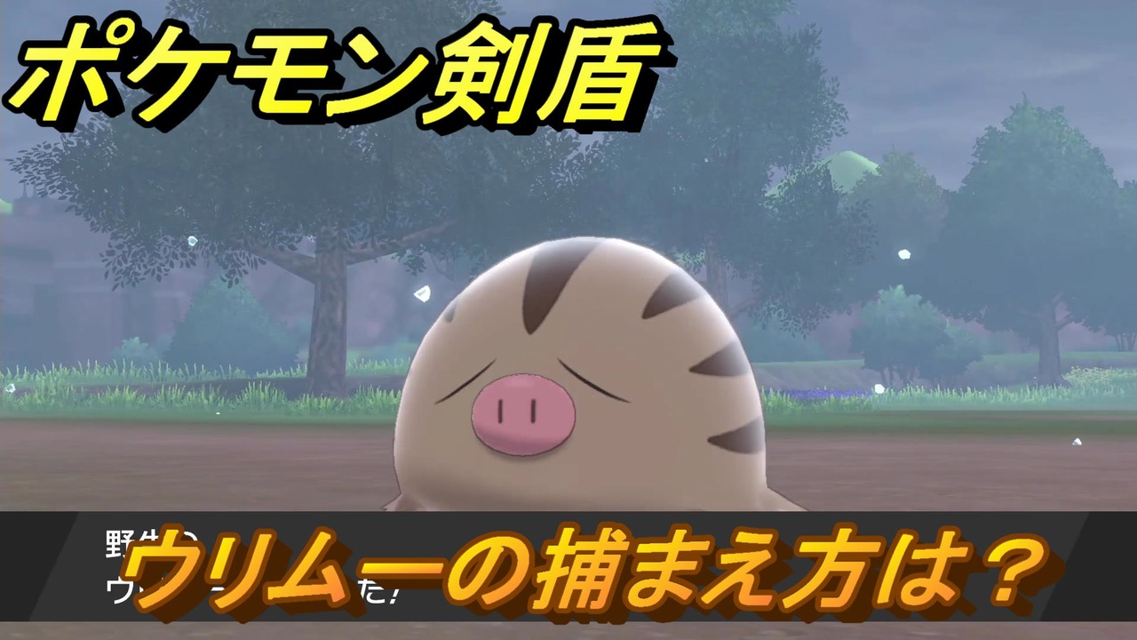 ポケモン剣盾 ウリムーを捕まえる方法 オススメの場所は 天気は ポケモン図鑑コンプへの道 最新版 ポケモンソード シールド ニコニコ動画