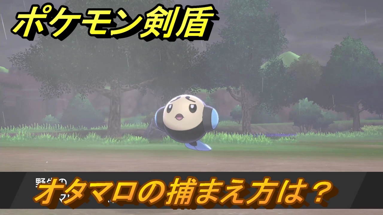 ポケモン剣盾 オタマロを捕まえる方法 オススメの場所は 天気は ポケモン図鑑コンプへの道 最新版 ポケモンソード シールド ニコニコ動画