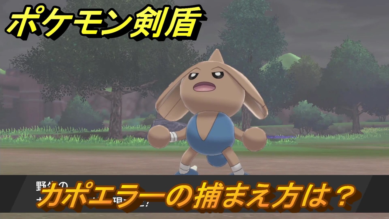 ポケモン剣盾 カポエラーを捕まえる方法 オススメの場所は 天気は ポケモン図鑑コンプへの道 最新版 ポケモンソード シールド ニコニコ動画