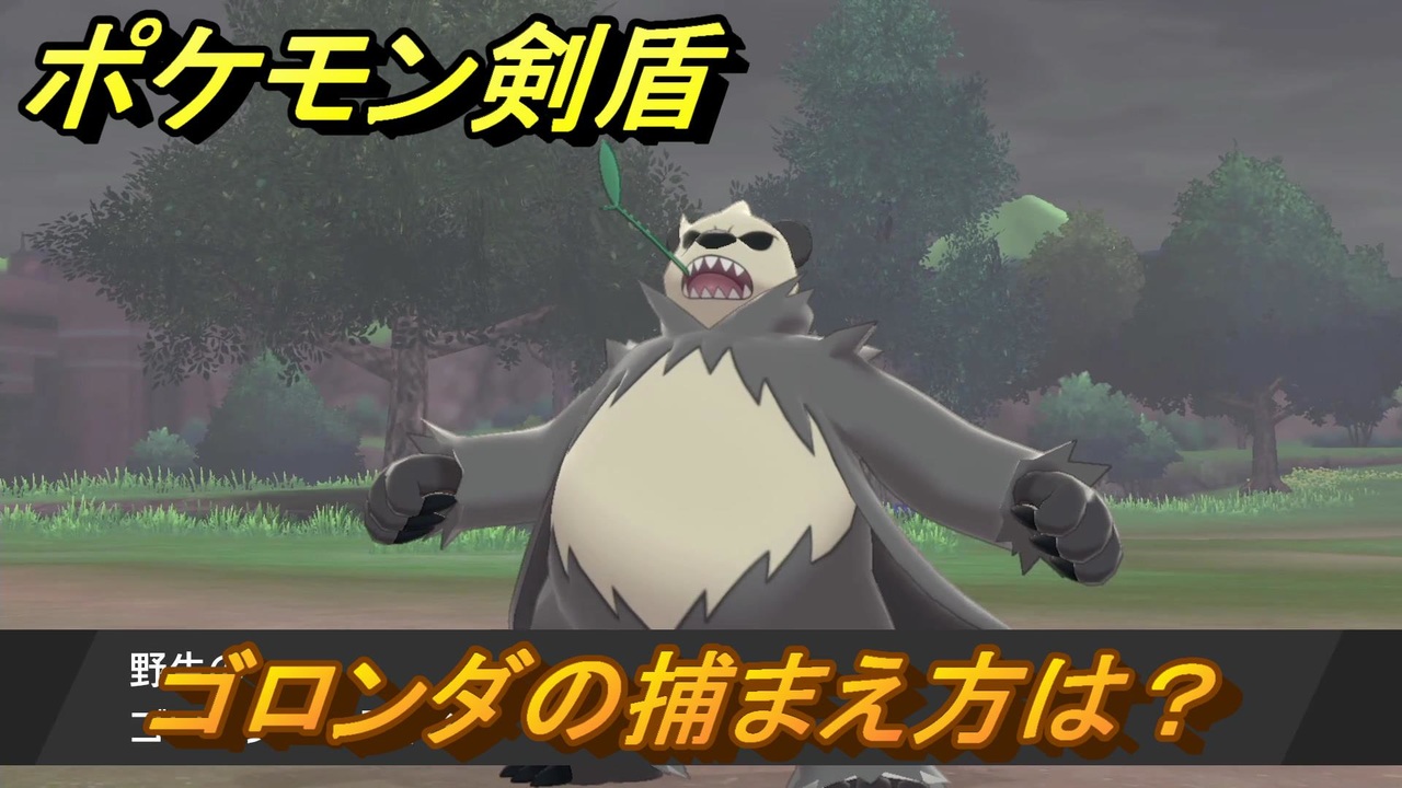 ポケモン剣盾 ゴロンダを捕まえる方法 オススメの場所は 天気は ポケモン図鑑コンプへの道 最新版 ポケモンソード シールド ニコニコ動画
