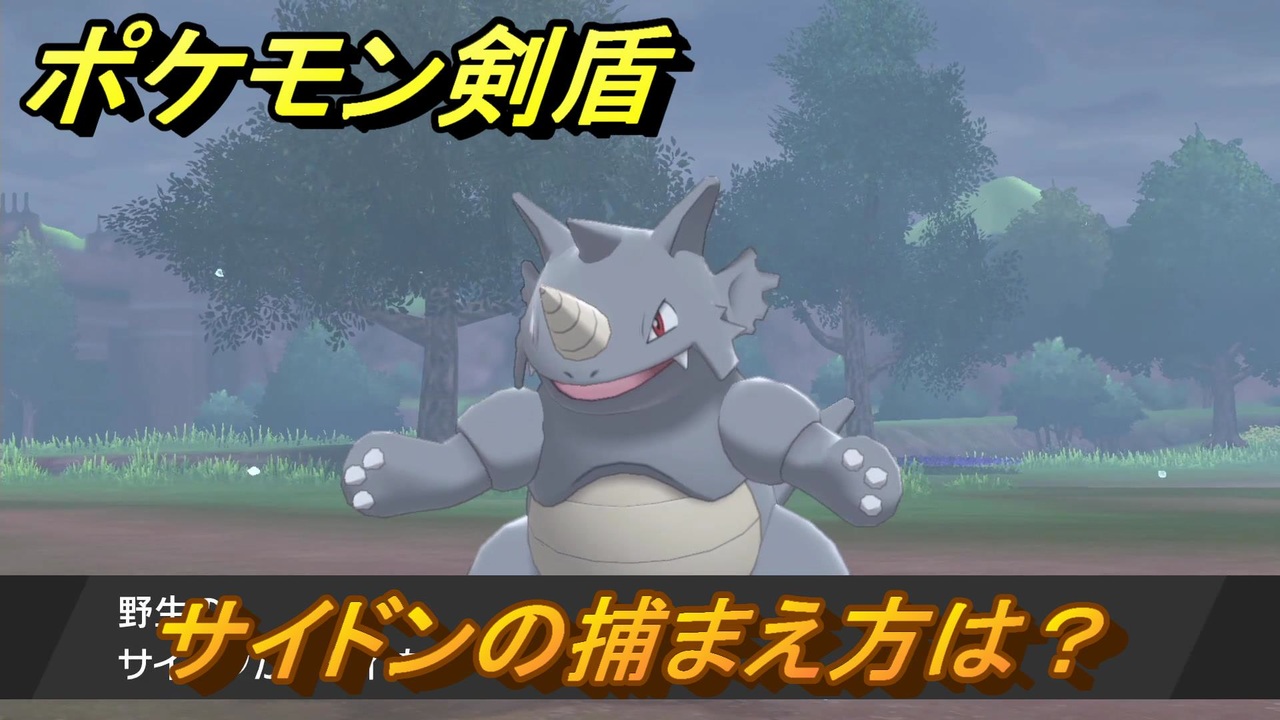 ポケモン剣盾 サイドンを捕まえる方法 オススメの場所は 天気は ポケモン図鑑コンプへの道 最新版 ポケモンソード シールド ニコニコ動画