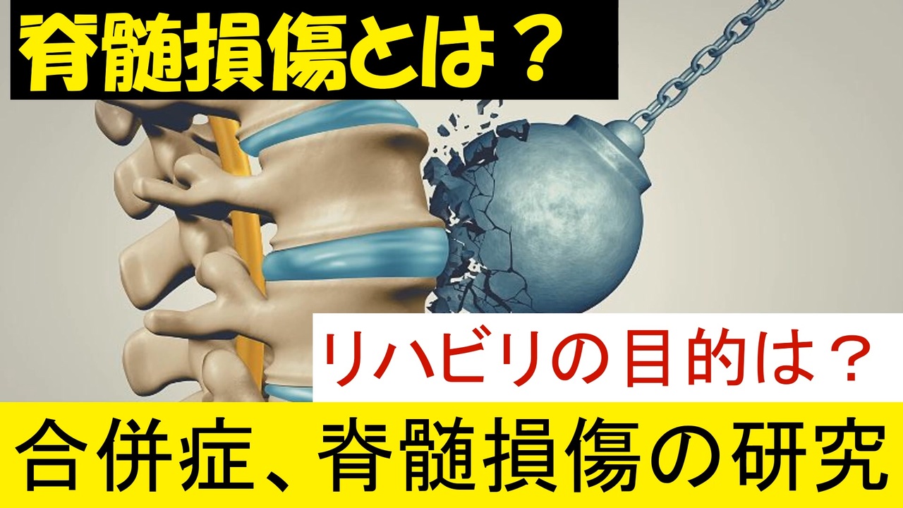 腰髄損傷の症状はどれですか? | 脊髄損傷部位と症状 | 脊髄損傷 – DEMWSJ