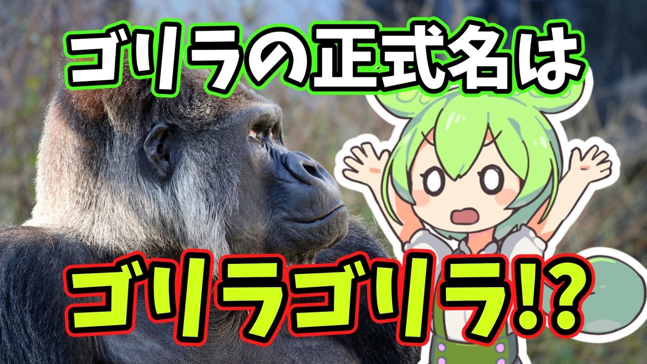 シン ゴリラゴリラ 解説 ずんだもんの分類学史 ニコニコ動画