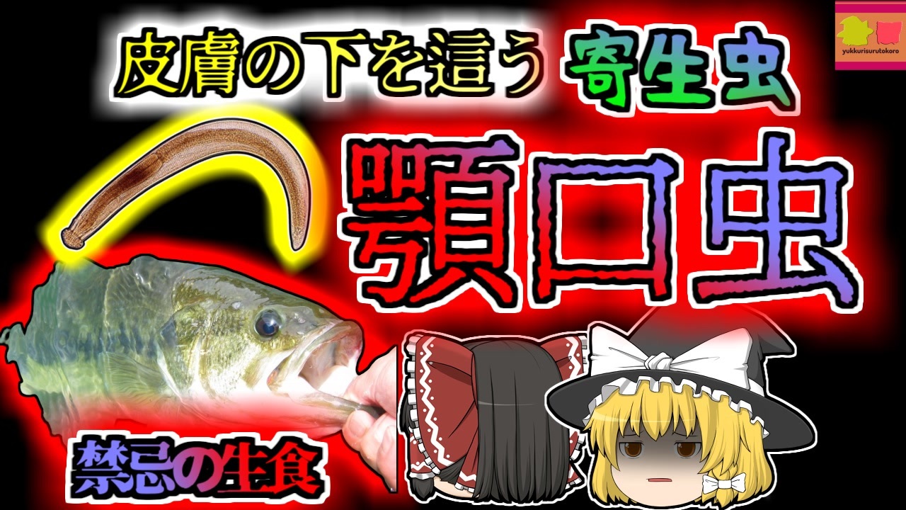 02年 皮膚の下で蠢く何か 謎の奇病に苦しめられた主婦 原因はブラックバス 顎口虫症の危険 ゆっくり解説 ニコニコ動画