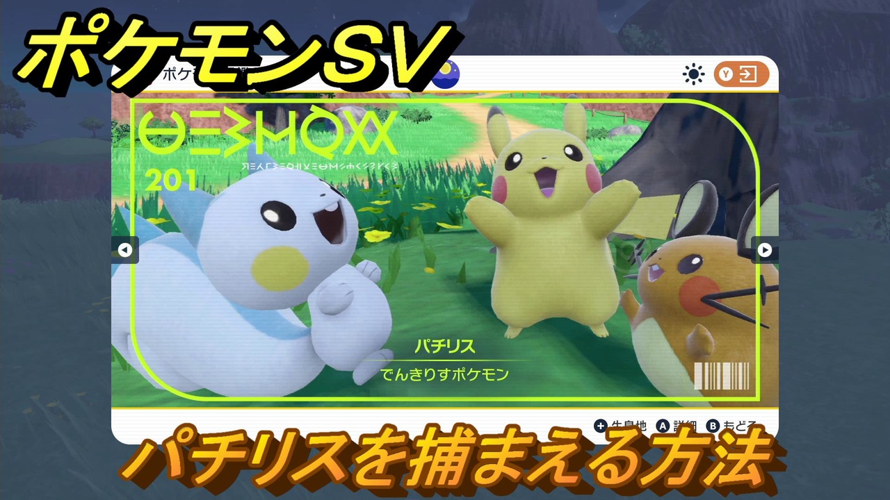 ポケモンパチリス確認ページ Www Metalroofingcenter Com