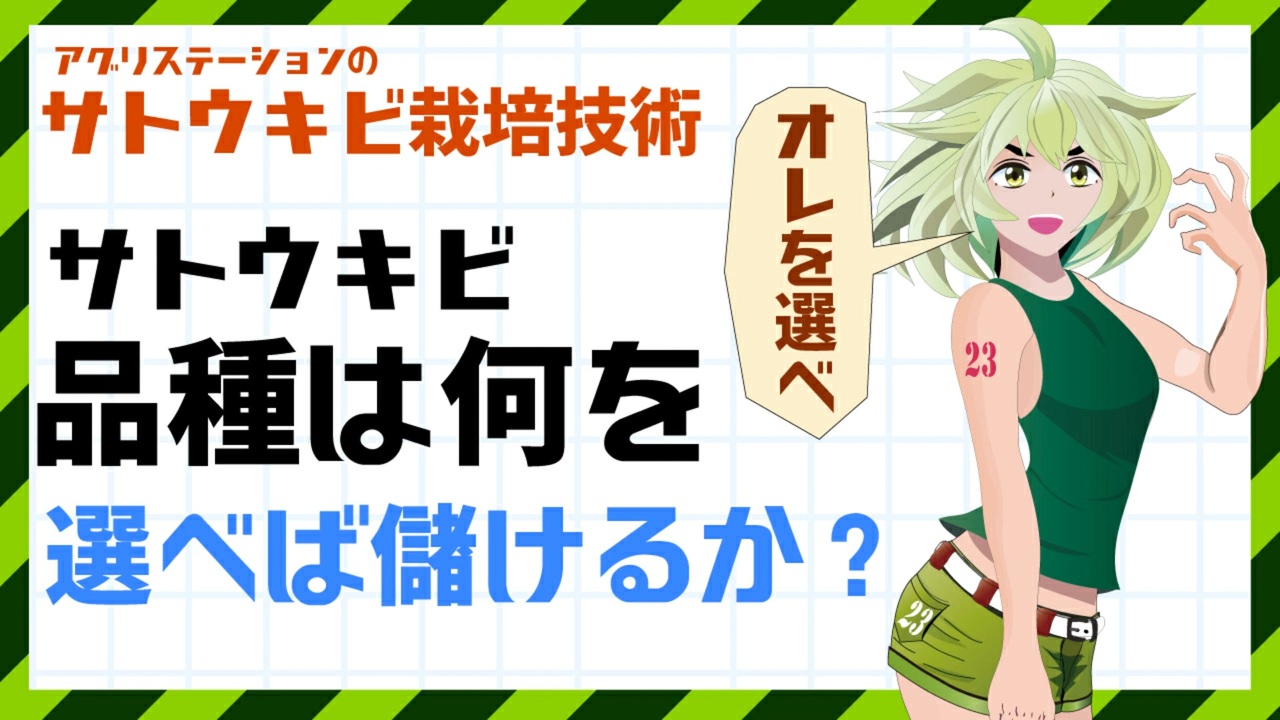 サトウキビの品種は、何を組み合わせて栽培すればいいのか？ ニコニコ動画