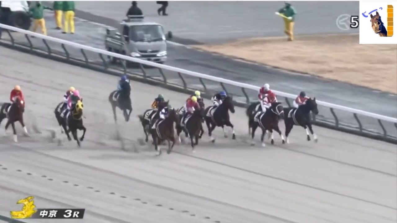 絶対連動 : 発見!永遠に続くJRA馬番リンク