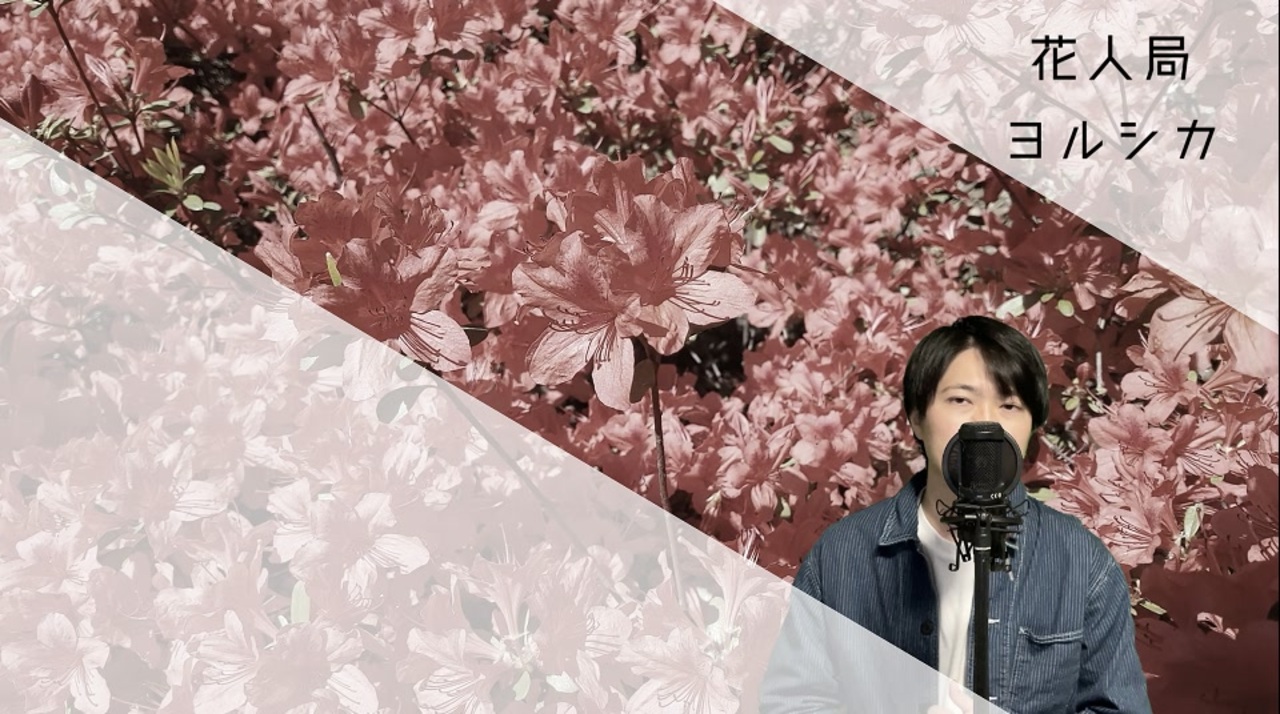 ヨルシカ(Yorushika) 花人局(flower and badger game) Covered by ポストサークル