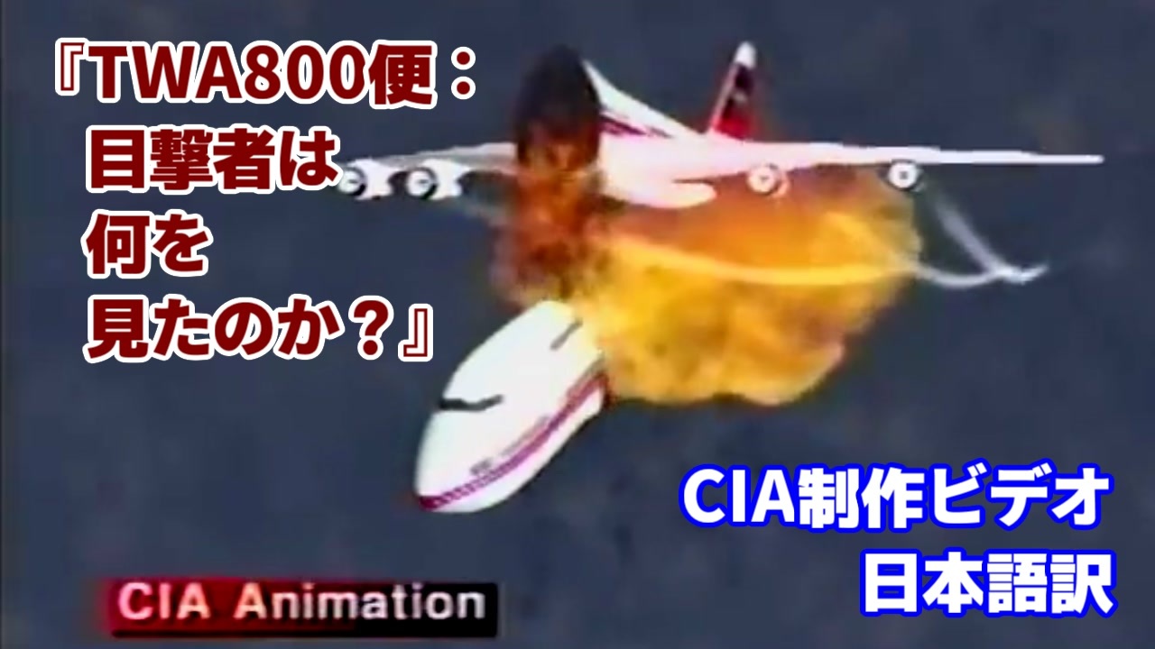 twa800-cia-twa-flight-800-what-did-the-eyewitnesses-see