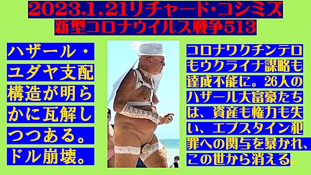 祝開店！大放出セール開催中 リチャード コシミズの新しい歴史教科書