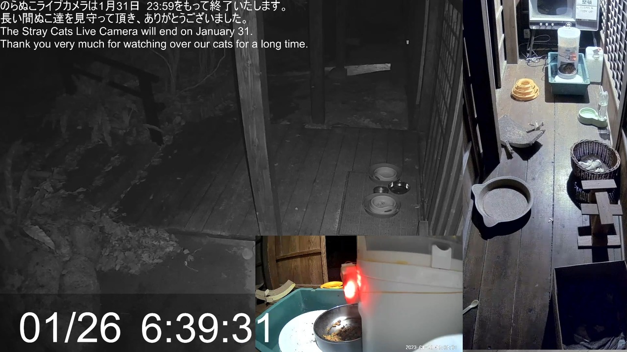 のらぬこライブカメラ　Stray Cats LiveCam(里親募集中) 2023-01-26 03_40 [TfAVzD7brbc] - ニコニコ動画