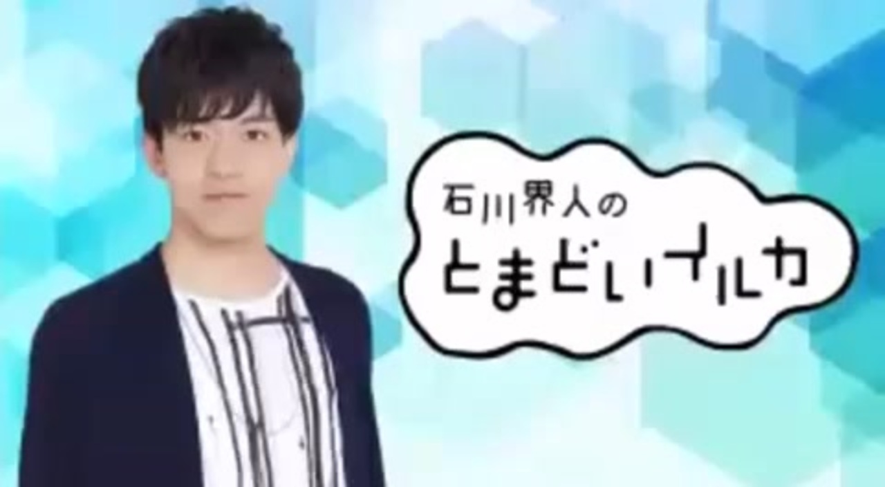 石川界人 アクリルスタンド×4 とまどいイルカ 石川界人 アクリルスタンド とまどいイルカ