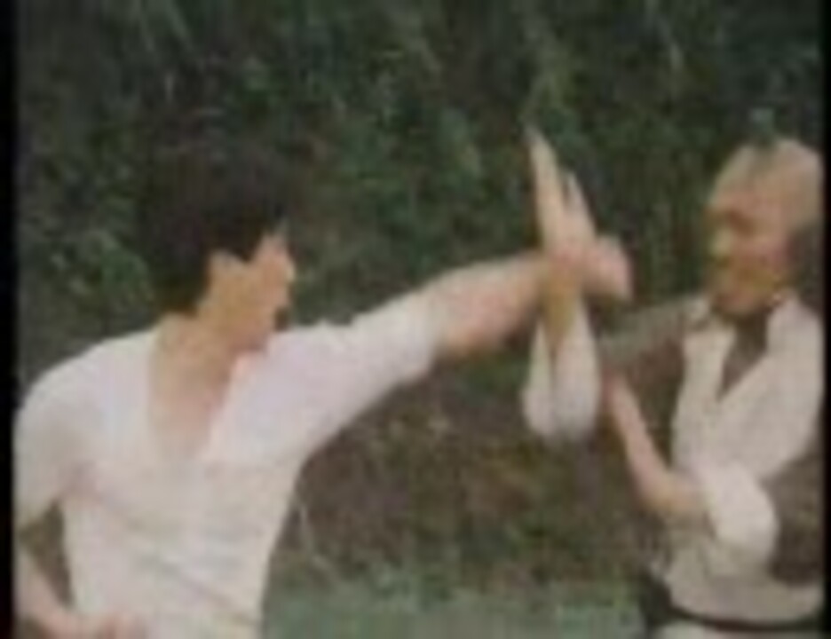 女デブゴン・強烈無敵の体潰し!! （笑太極） 吹替版 8/10 - ニコニコ動画